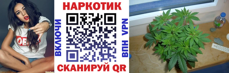 Псилоцибиновые грибы Кудымкар