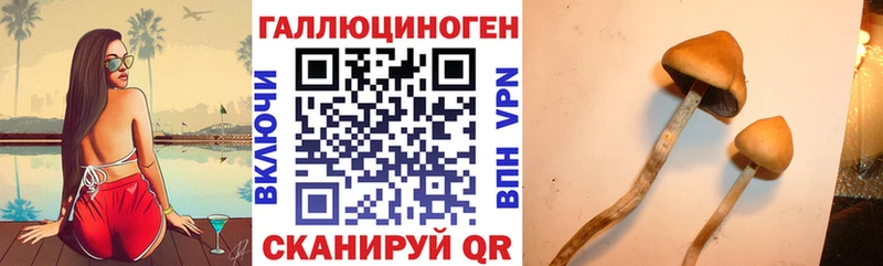 Псилоцибиновые грибы ЛСД  наркотики  Кудымкар 